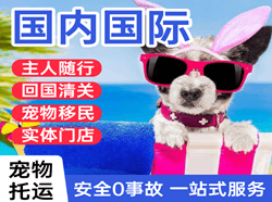 珠海航空托运国际宠物托运 【国